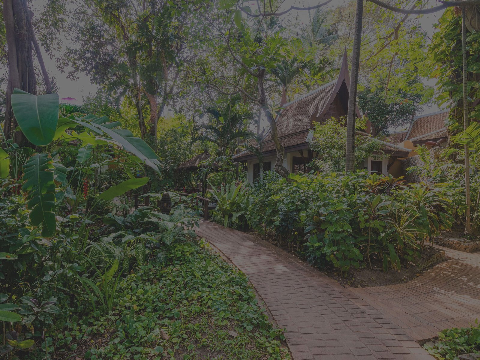 background image of Anavana Beach resort cottages surrounded by lush tropical jungle